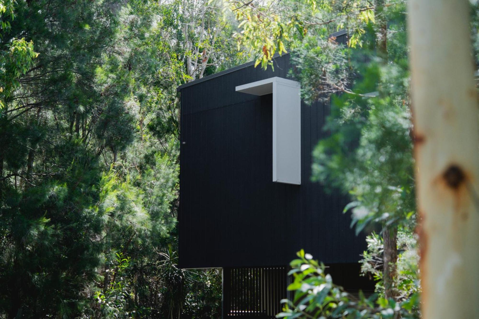 Senses Noosa North Shore المظهر الخارجي الصورة